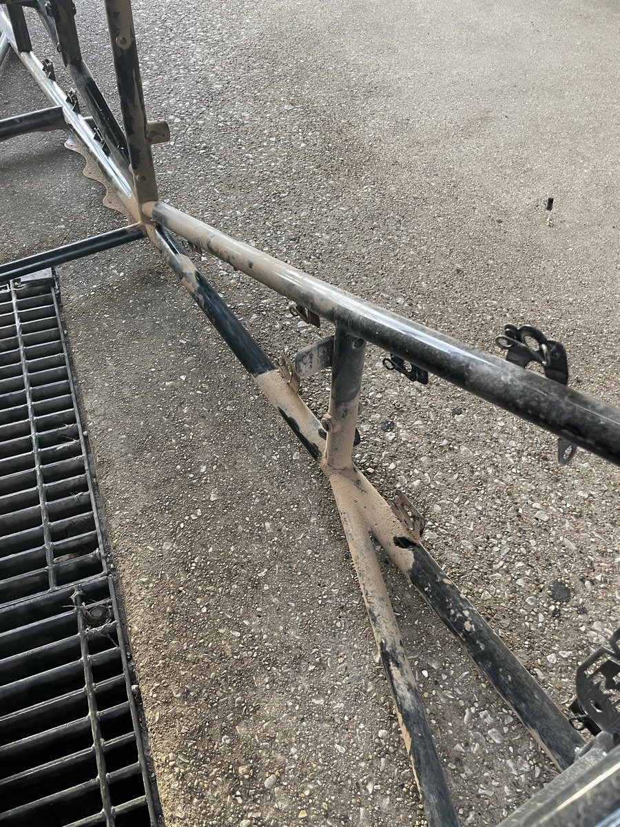 Flea Ruzic tweet media