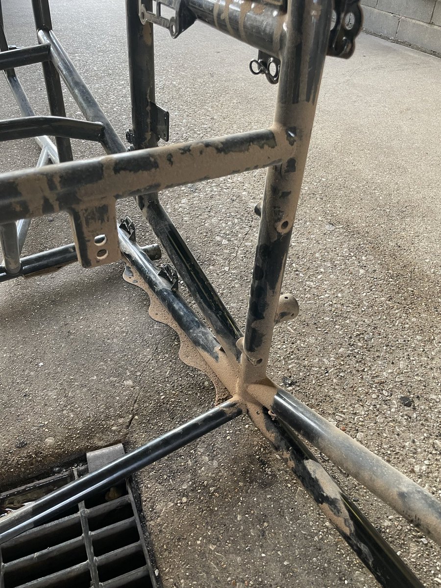 Flea Ruzic tweet media