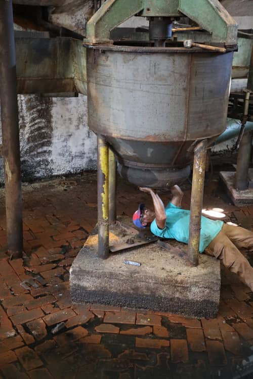 En medio de la difícil situación que afronta el sector cañero, desde el central 30 de Noviembre, en San Cristóbal, un colectivo de trabajo se empeña en sacar adelante la industria