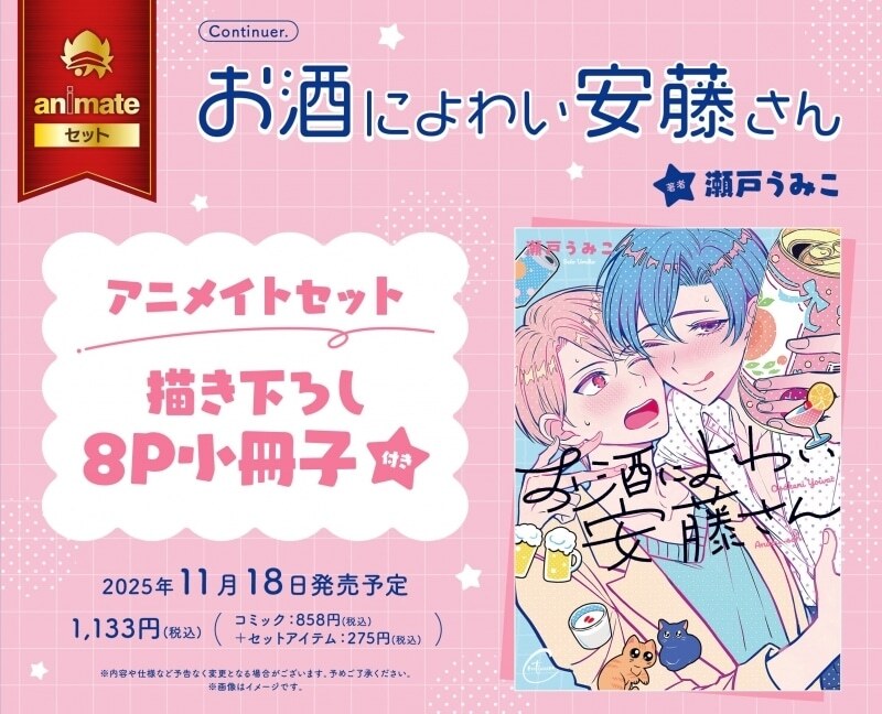 商業BL まとめ売り 25冊セット アニメイトなど　特典ファイル付き 商業BL まとめ売り 25冊セット アニメイトなど 特典ファイル付き 商業