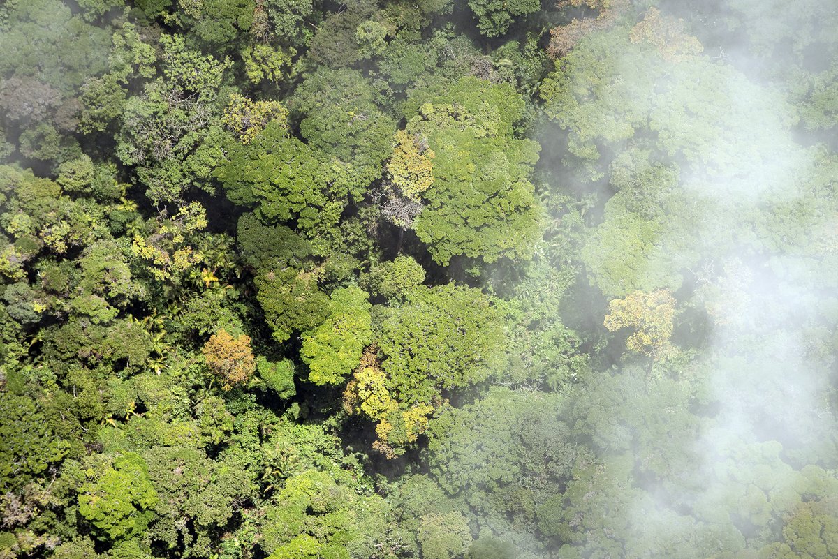 UNDPplanet's tweet image. Nominated by @UNDP for the @EarthshotPrize, Costa Rica was one of the inaugural five winners in 2021.

By putting nature at its core, Costa Rica proves that work #ForPeopleForPlanet can thrive together.

5 years on, it&apos;s a success story worth repeating: go.undp.org/iwy