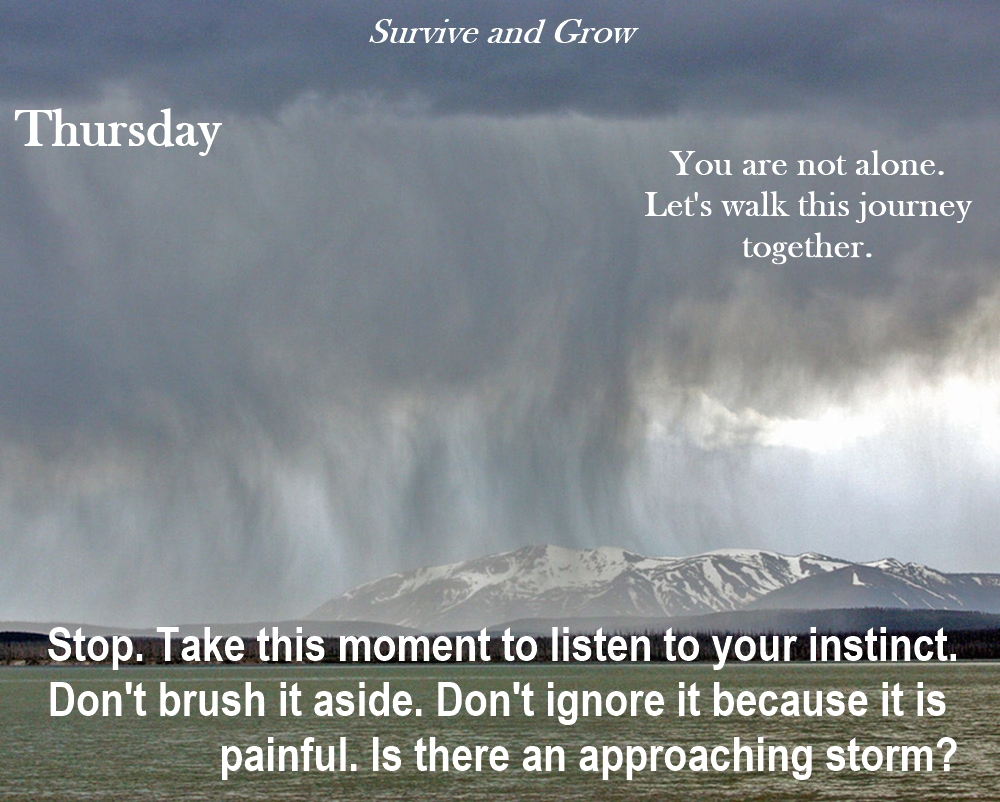 For all of us survivors who are searching for ourselves today: You are not alone. #thursdayvibes #thursdaymotivation #ThursdayThoughts #thursdaymorning #thursday #thursdayvibe #thursdaymood #ThursdayFeeling  mybook.to/0C6hv1Q