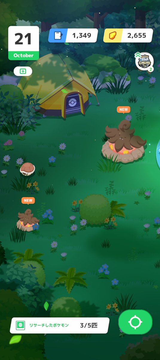 o_c_r_s__'s tweet image. 今朝リサーチしたらバケッチャ出た🎃 笑笑
しかも大きさ違う 笑
#ポケスリ
#新月のパンプジン