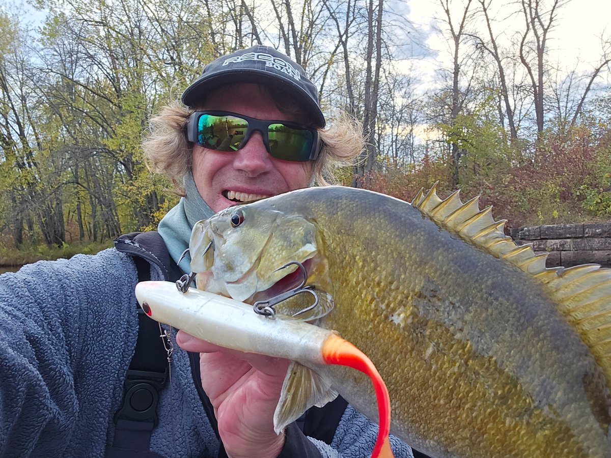 PeteMaina's tweet photo. Gotta love aggressive toothless critters and especially smallies... even on muskie tackle - they leave no doubt they're not coming in without a fight.
#toothlesstuesday #smallmouthbass https://t.co/FPmNVwNpWJ