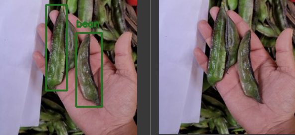 mfranz_on's tweet image. Just a run with that script and you have your images labeled for everything, like beans