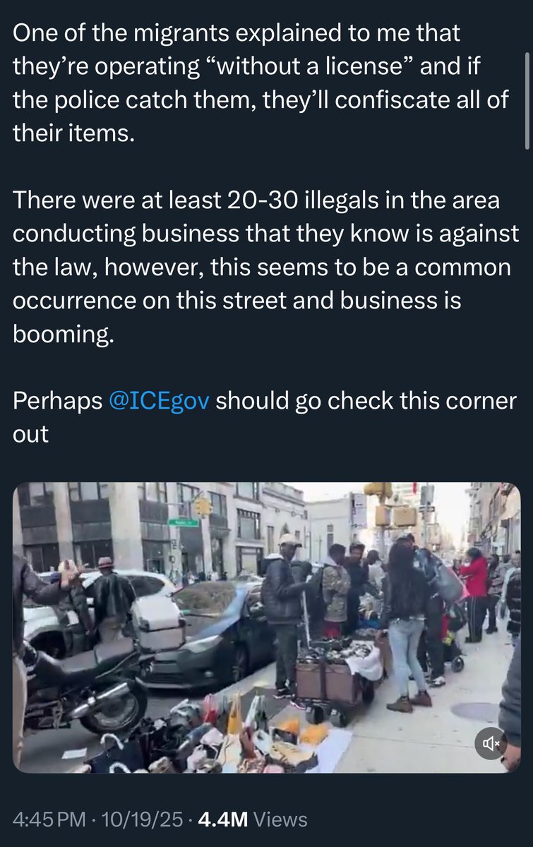 Two days after a conservative media influencer tagged ICE and complained that immigrants were selling merch on Canal street, immigration officials raided the area