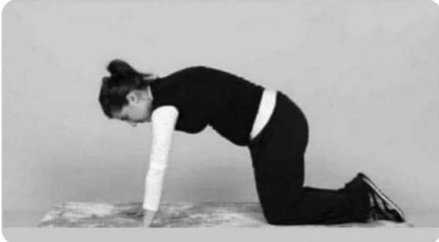 Öråclë tweet media