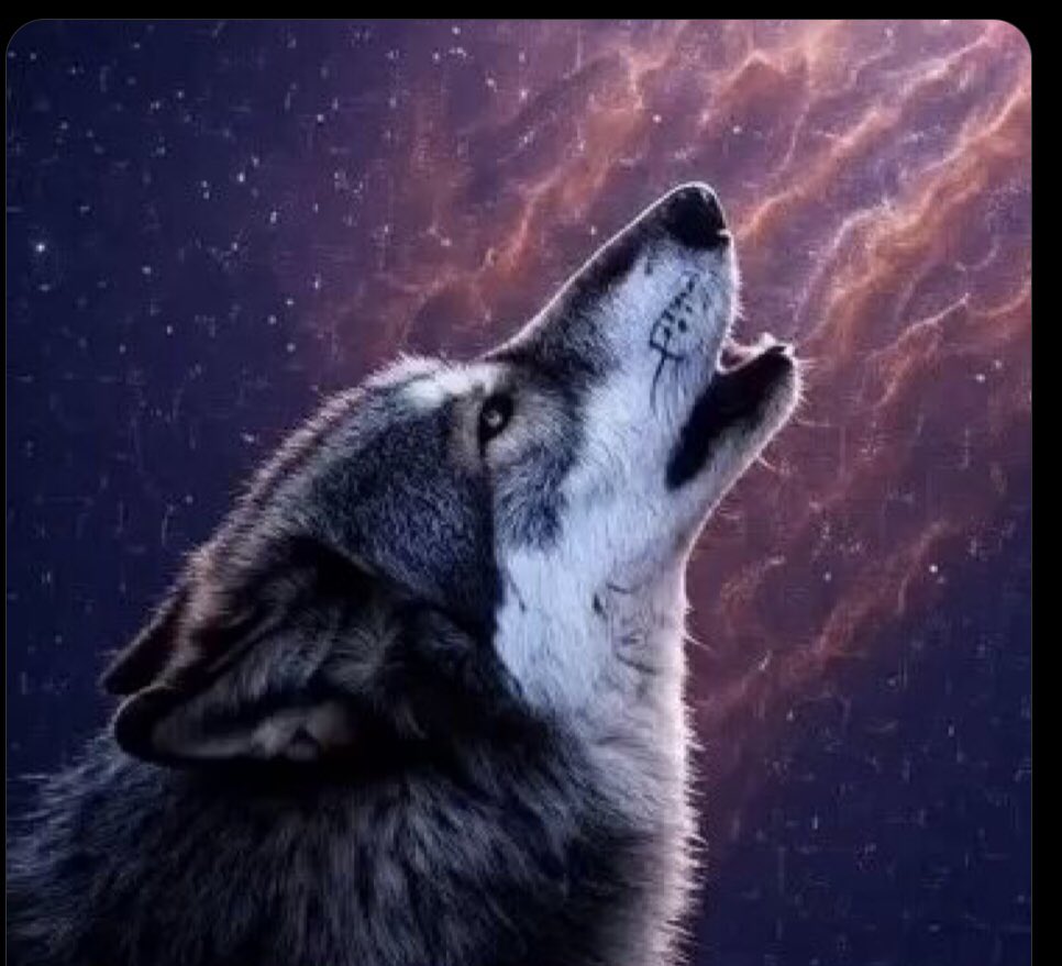 fateemahmusa889's tweet photo. Sailana Inu $SAILANA ignites 2025 Saitama's fierce sister on Solana, ready to 100x. Join the Wolfpack, grab at $0.000259, and howl to the moon #SailanaInu #InuSeason 🐺
@PackSaitama 
@junior100mm 
@2025_Crypto 
@SupaSHIB 
@SailanaWolfpack https://t.co/17QdjtlgNd