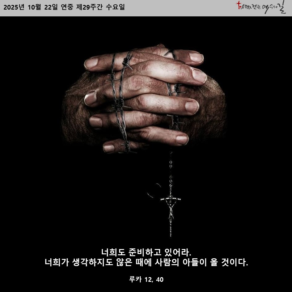 바람이부는대로 (@veritas4u) on Twitter photo 