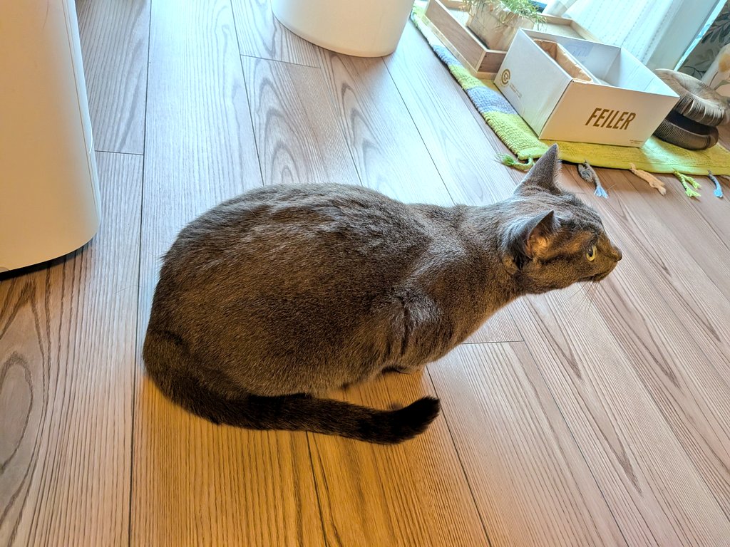 おはようございます

碧さま「今日は寒い🥶」
僕「まだ暖房は付けませんよ( ꒪⌓︎꒪)」

皆さん、暖房は付けました？
 #寒い