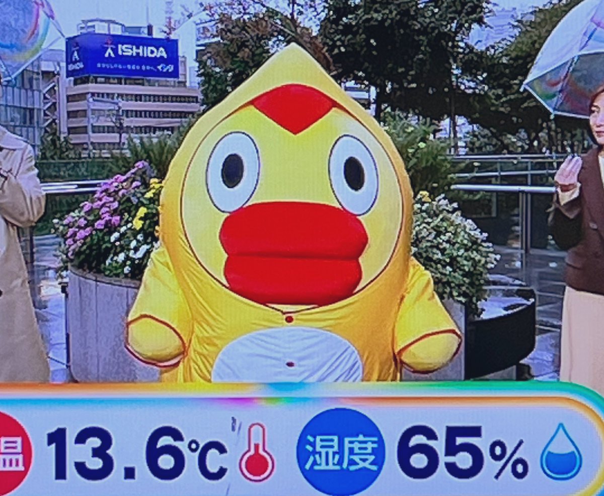 今日のそらジロー、カッパ着てて可愛い