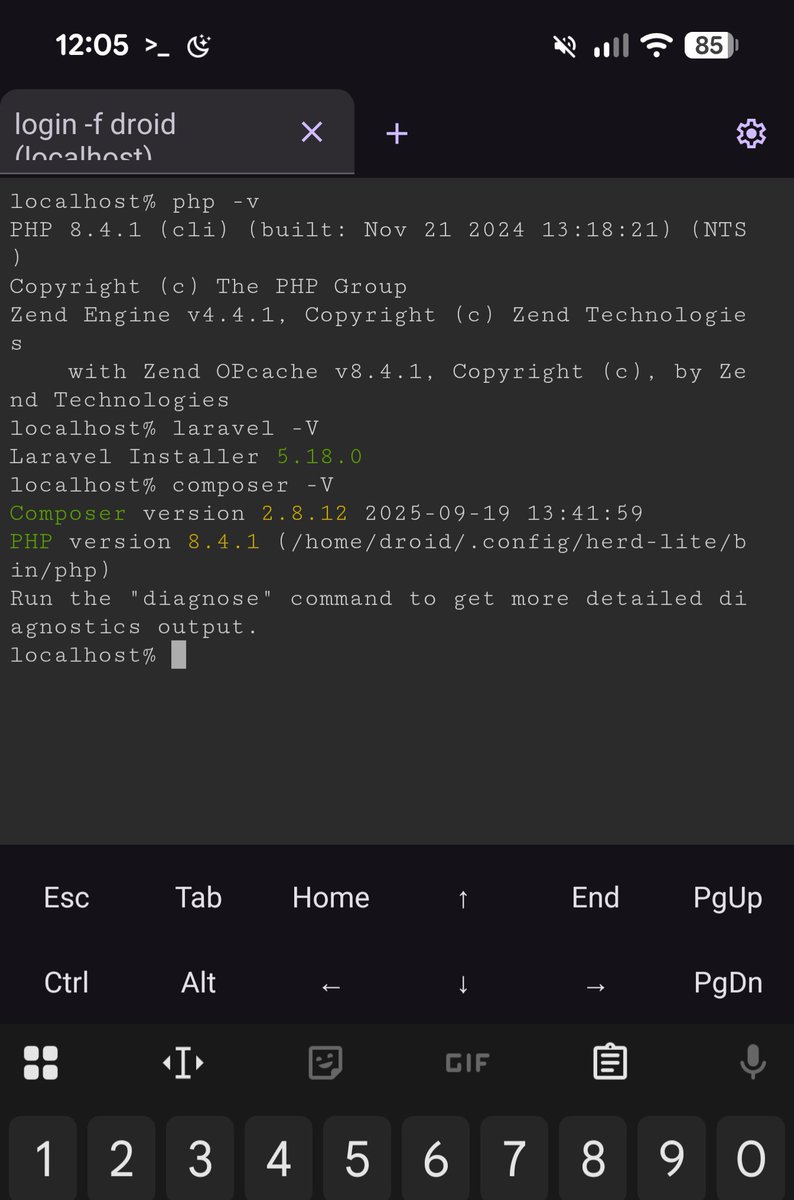 devhammed's tweet image. POV: I wanted to set up the PHP development environment on the Android 16 Linux Terminal and I just opened php.new and copied the Linux installation command and here I am 🤤🤤🤤