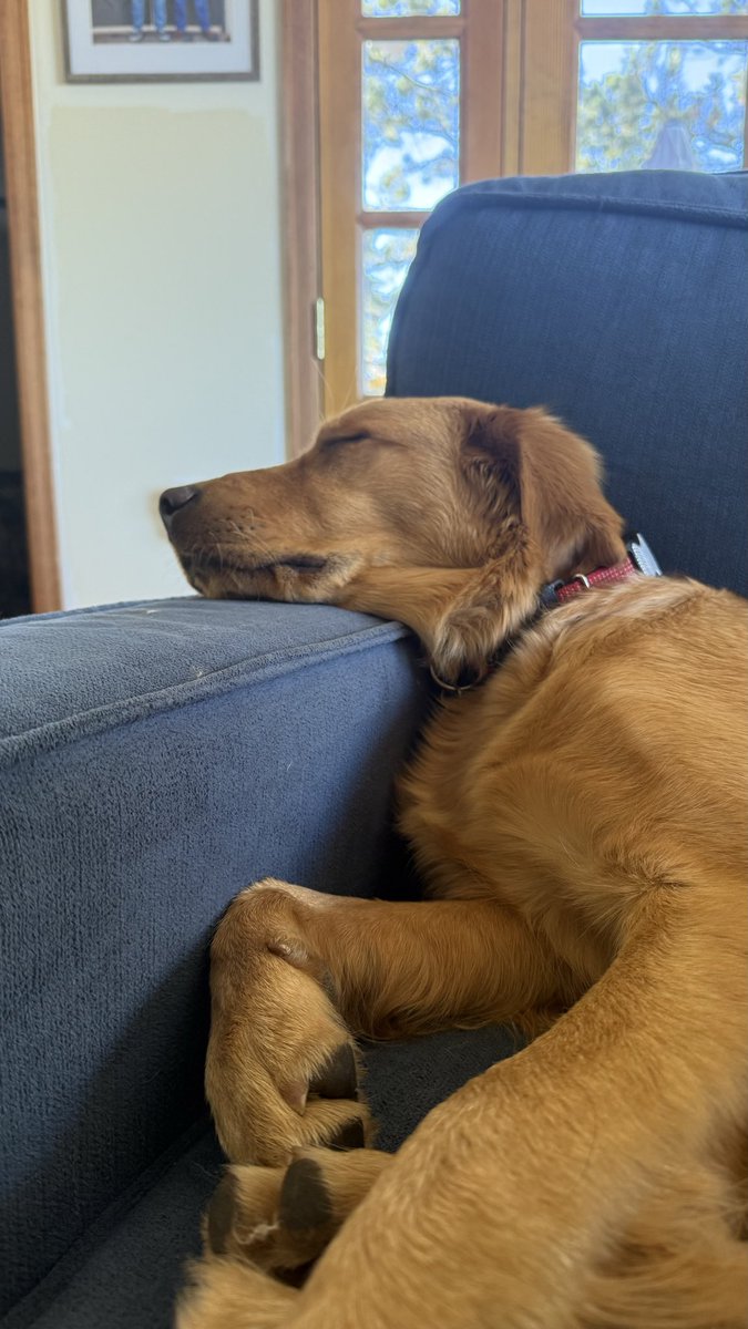 Resting up before my procedure tomorrow. Dad says I’m getting fixed. Didn’t know anything was wrong with me that needed “fixed.” Wish me luck!