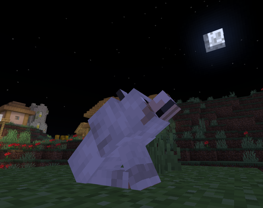 Lifeboat Network ⛵ tweet media