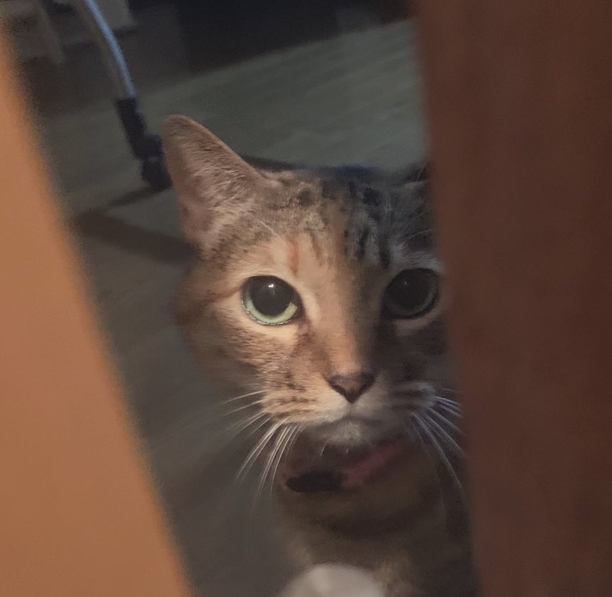 ちー⭐︎さま　専用ページ ブロッコリーオンライン on X