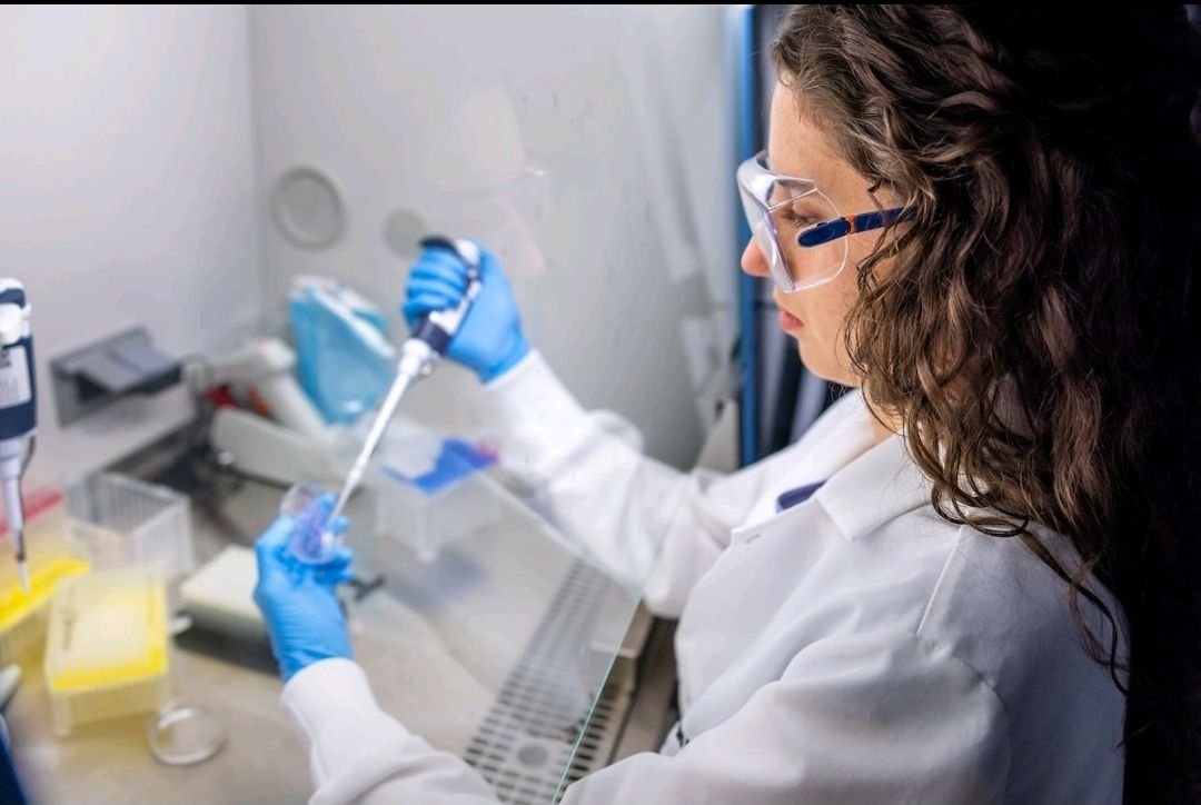 Notre Dame Bioengineering tweet media