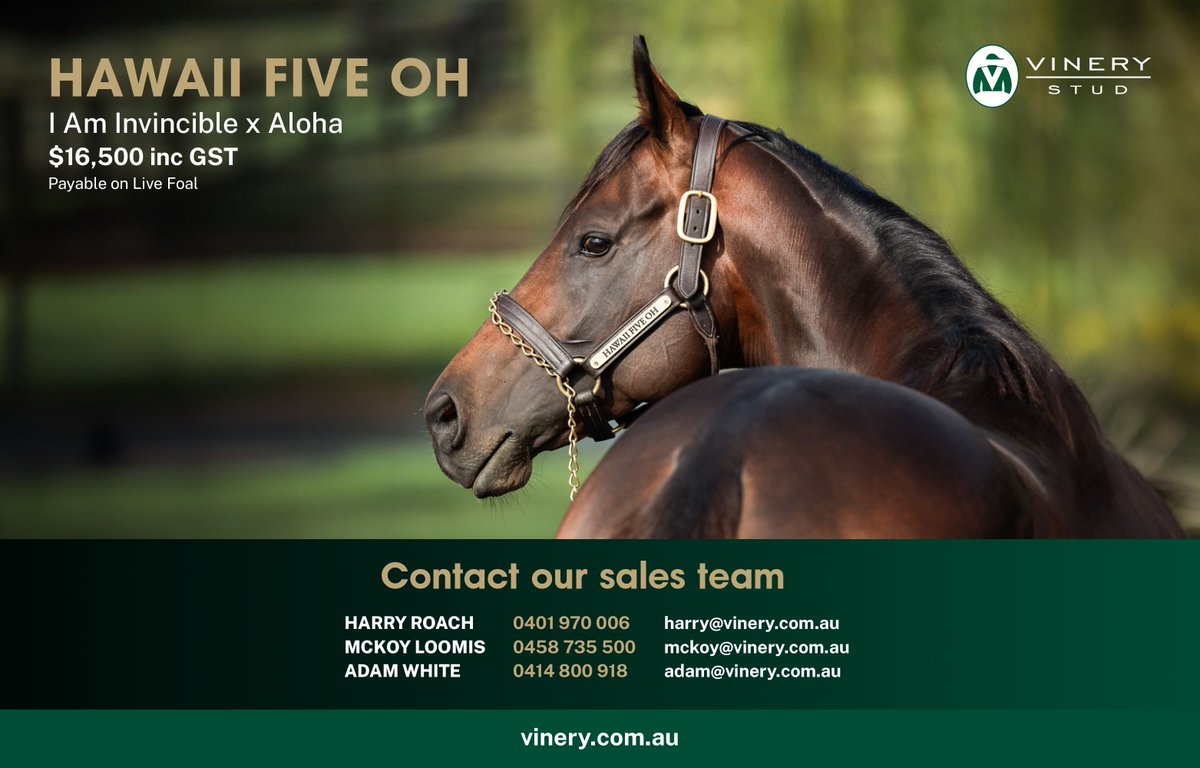 🌴 Hawaii Five Oh 🌴 

2025 fee: $16,500 inc GST, payable on live foal.

📞 Talk to the team: Harry, McKoy, or Adam.

🔗 vinery.com.au