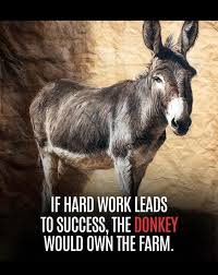 azburner's tweet image. 