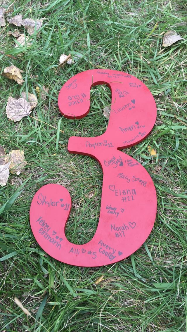 It has been 8 years since we lost you, Nicole.  We miss you and your beautiful smile!  Never leave our hearts, and continue to watch over us.

There is, there was, &amp; there will only ever be one #3!

We love you! 🦋🌈

#ElkhornSlammers
#SoftballDaughter
#SoftballSister