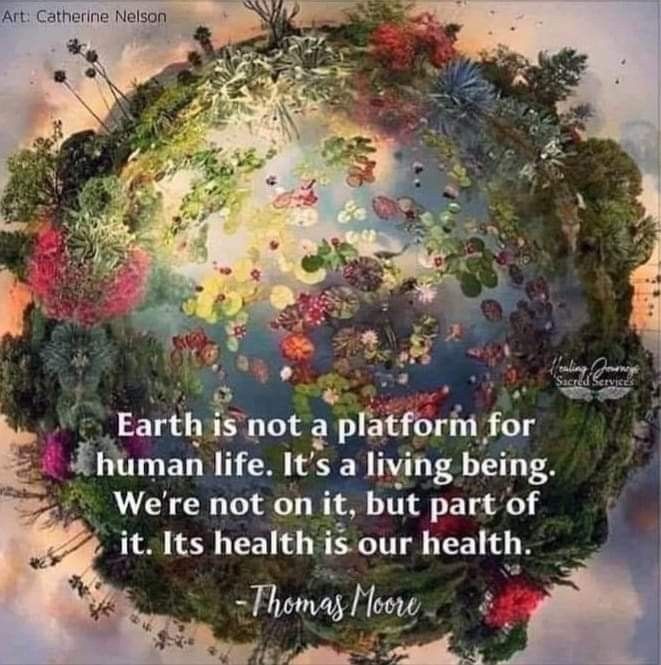 Baygom2's tweet image. Let&apos;s boom, let&apos;s make it happen 💚💙🌱🌳🙏#SaveSoil #ConsciousPlanet #MiracleOfMind