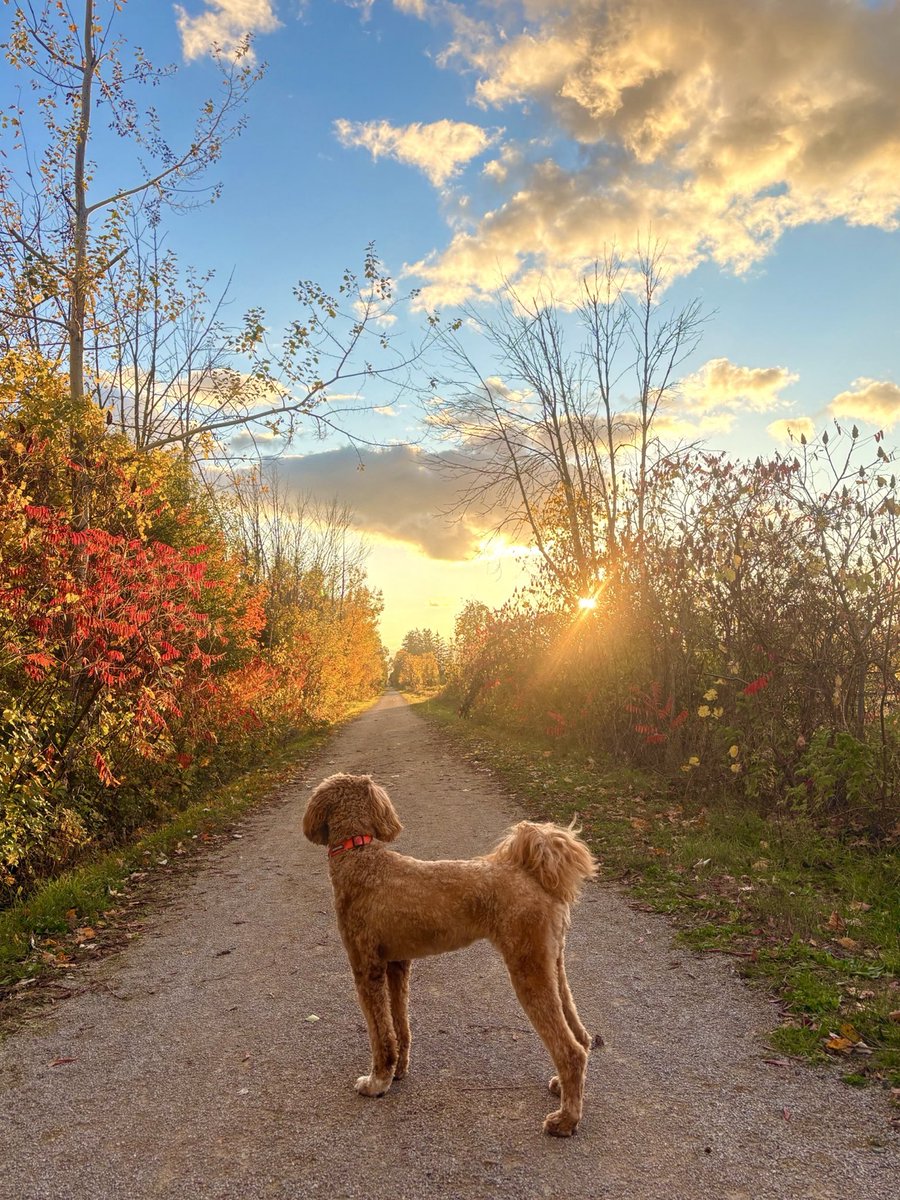 さな (@sana018862) / Posts / X