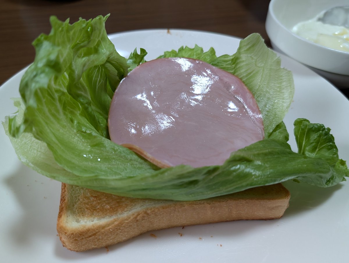 おはようございます
やっと平常運転定番朝食
日本はレタスがシャキとしてみずみずしい