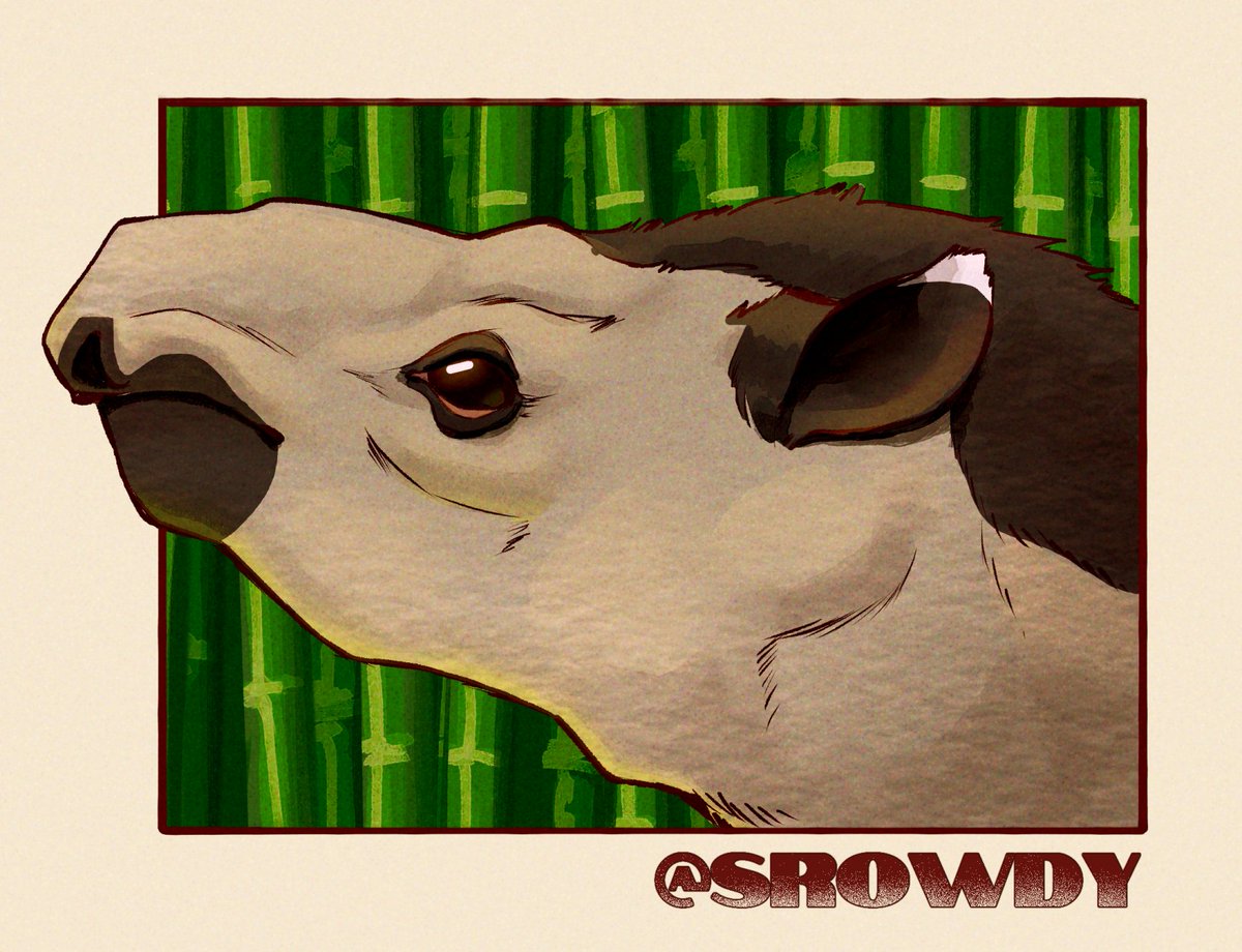 SRowdy🇻🇪 tweet media