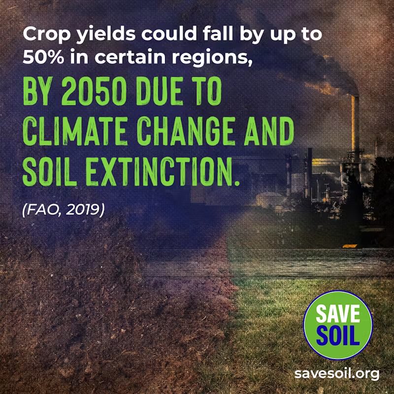 Baygom2's tweet image. Let&apos;s boom, let&apos;s make it happen 💚💙🌱🌳🙏#SaveSoil #ConsciousPlanet #MiracleOfMind