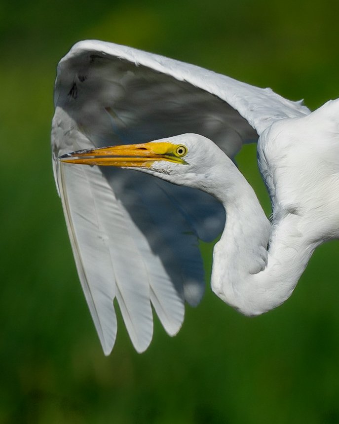 DR Photos - David Reid Photography🐦 tweet media