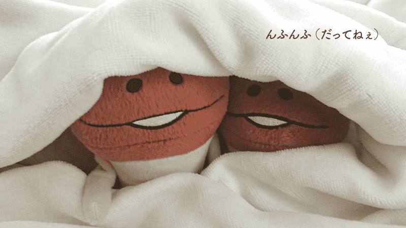 nameko_nnf's tweet photo. んふんふ（出られないんです） https://t.co/34VOVHkgvB