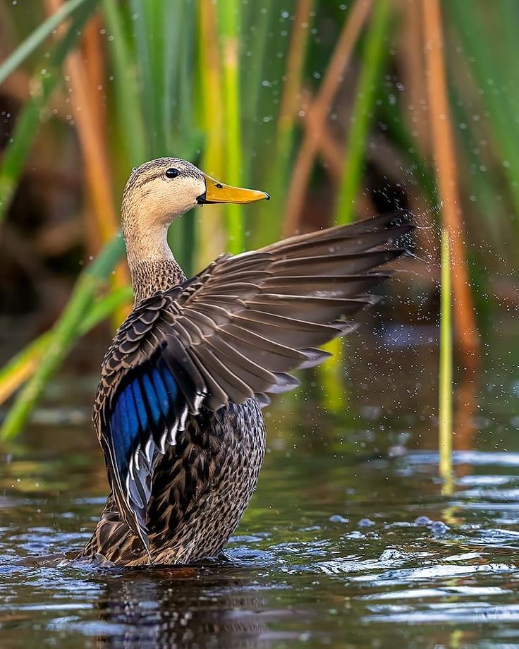 Worldwild05 (@worldwild05) on Twitter photo 