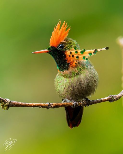 Worldwild05 (@worldwild05) on Twitter photo 