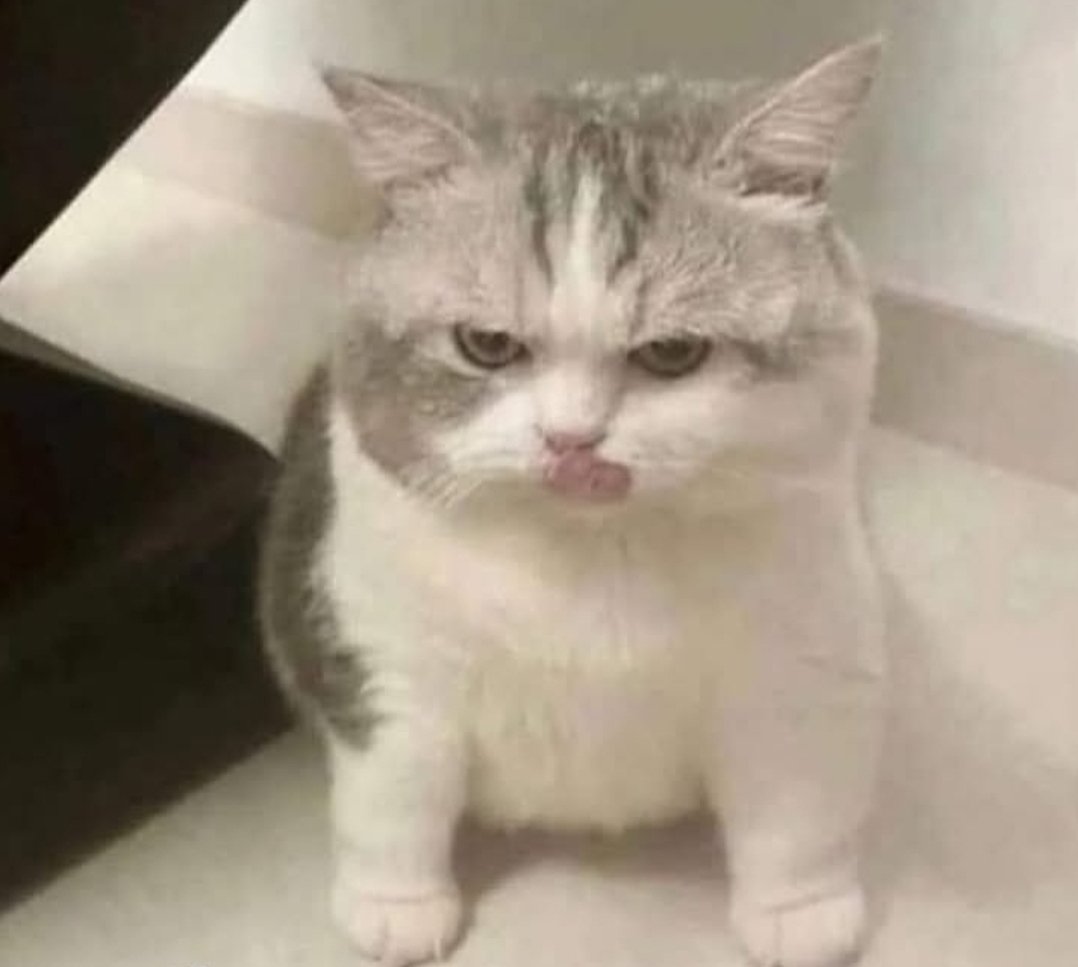 Nataliia Horbach tweet media