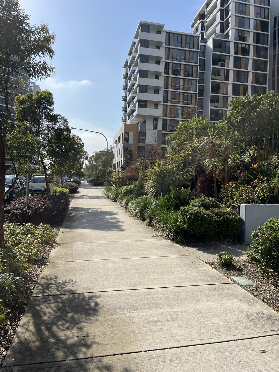 Agent99c's tweet image. Went for a walk hot one in Sydney going up to 35C. #sydney #hotday #pagewood #spring #walking