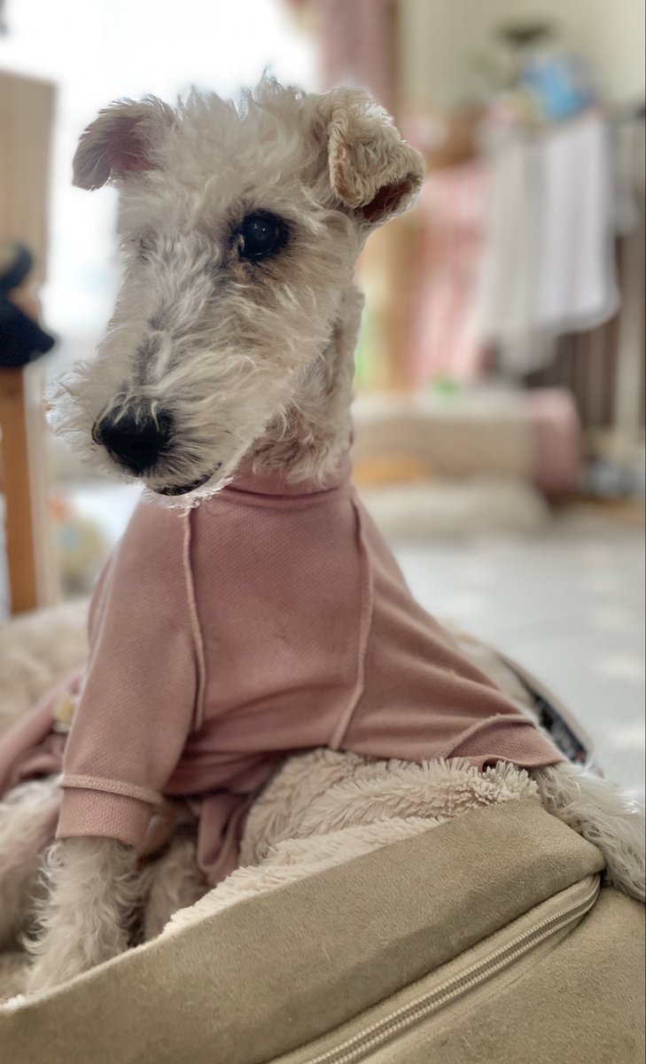 おねっさん on X