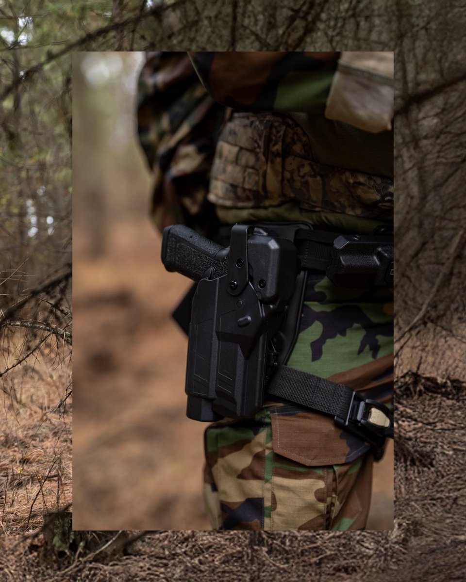 The forest tones are beginning to change