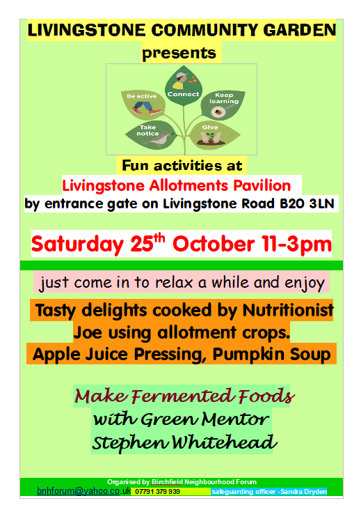 Half term fun starts here