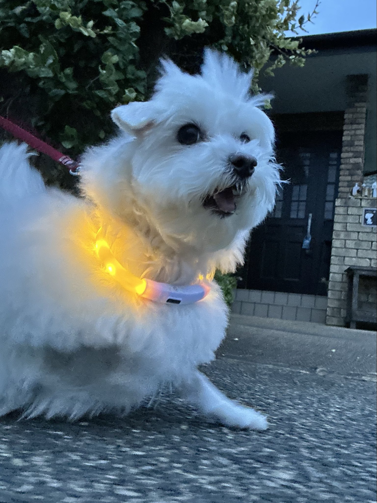 ⭐︎ハルちゃん⭐︎ スーパーハルちん（22） (@hhh_h3922) • Threads, Say more