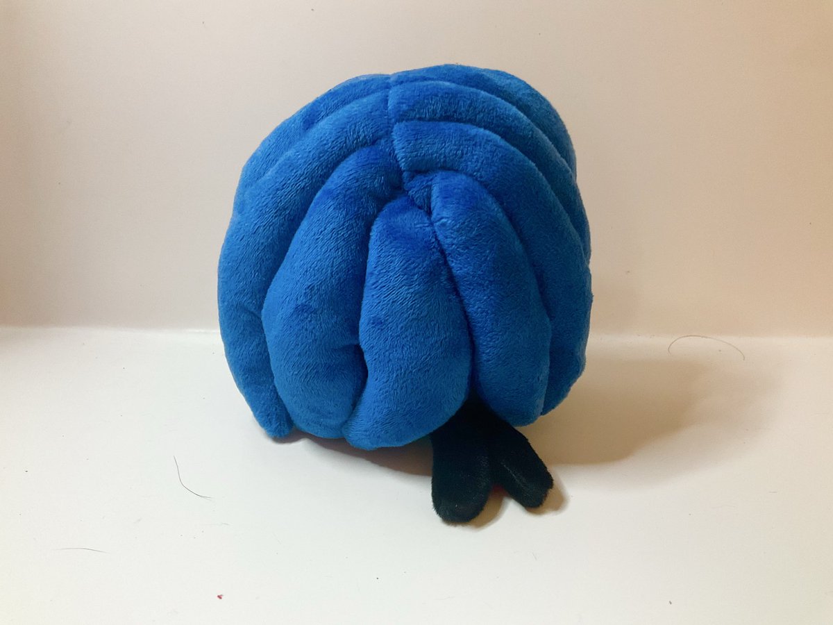 TiffanyArtist56's tweet photo. 🛍️  NEW PLUSH HAUL 🛍️

New addition to my collection: I… AM STINKY STEVE. 

Bought from #Ownaj. 

 #AngryBirds #angrybirdsplush #plushlover #plushcollector https://t.co/Xu96R3Yx0T