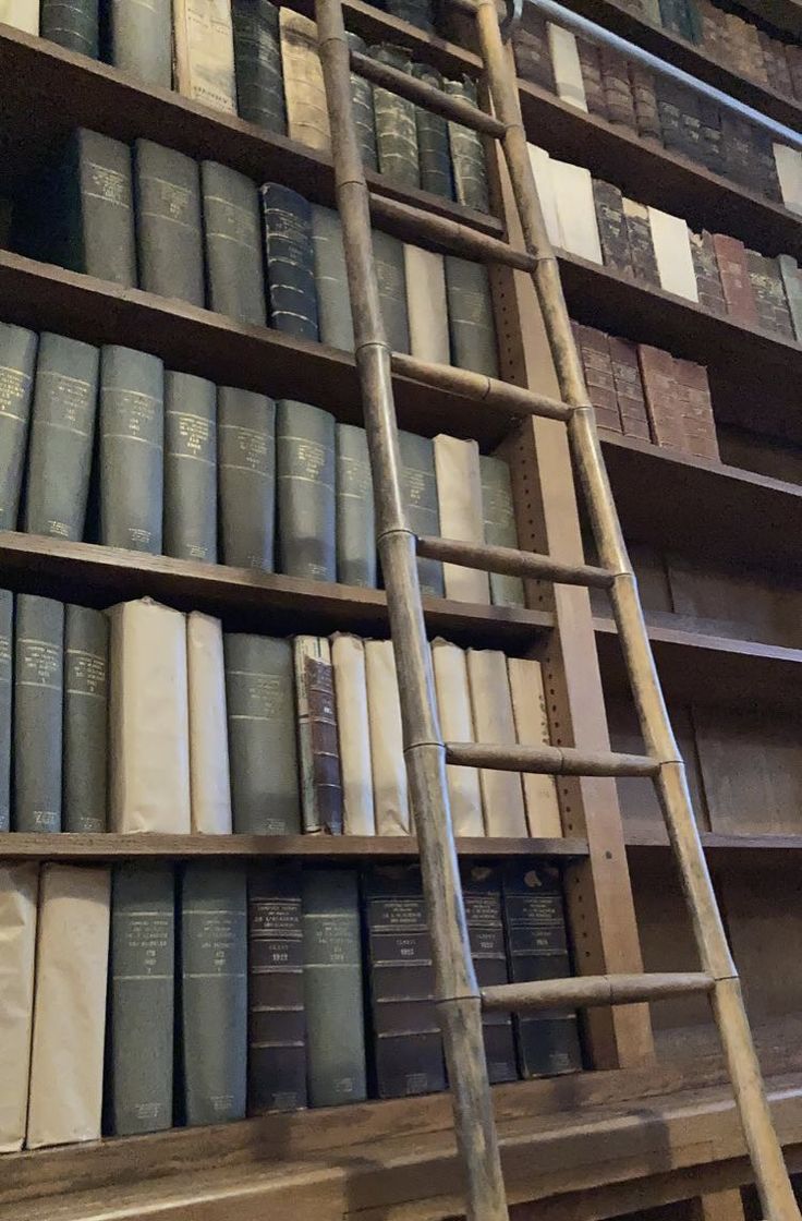 Hartmann_Em's tweet image. Boa noite, como estão?
Hoje o dia foi puxado, precisei visitar novamente a biblioteca empoeirada do departamento e tive uma crise alérgica horrorosa. Viva aos PDFs que me ajudam a não precisar fazer isso com frequência.