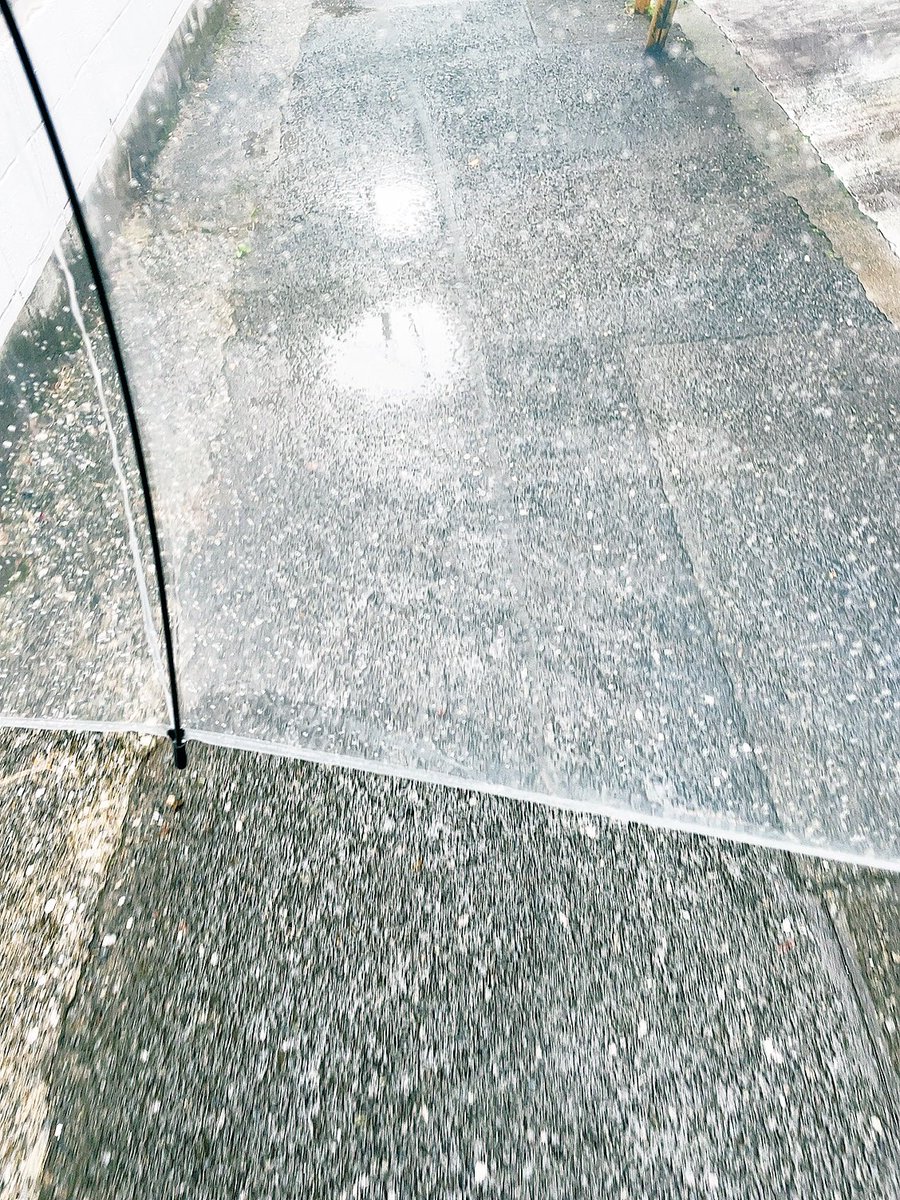 お☔️は📷よ☔️う🎤ご☔️ざ📷い☔️ま🎤す