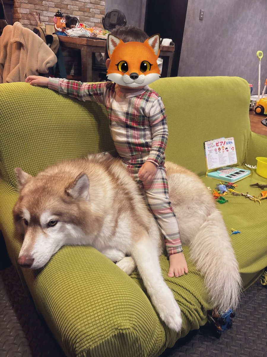 茶々丸チャチャチャ👐 (@chacha_maru1113) / Posts / X