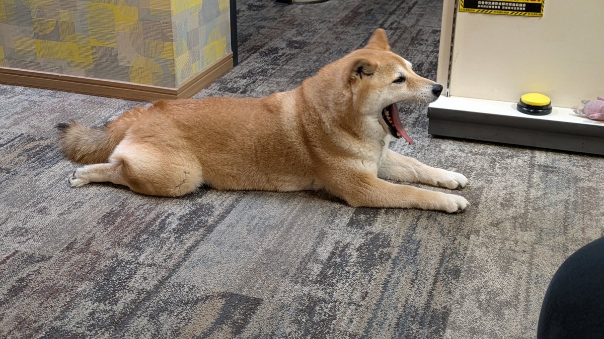 皆さまおはようございます☁
今日もお仕事…