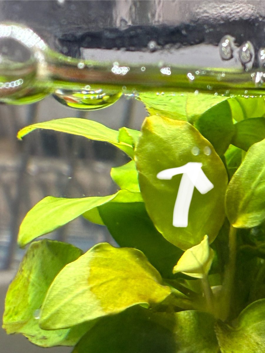 sawa (@sawa50933376) / Posts / X