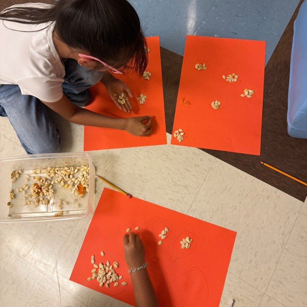 swisd_hcsa's tweet image. Ms. Martinez’s second graders turned pumpkin carving into a math adventure—counting, grouping, and estimating seeds!

#SWISDHEROS #RootedHiddenCove #RootedSWISD