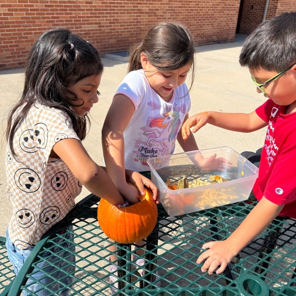 swisd_hcsa's tweet image. Ms. Martinez’s second graders turned pumpkin carving into a math adventure—counting, grouping, and estimating seeds!

#SWISDHEROS #RootedHiddenCove #RootedSWISD