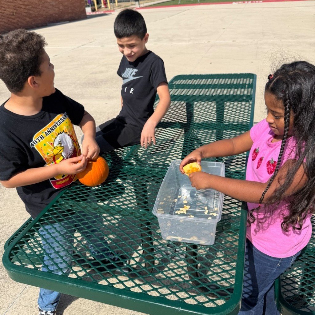 swisd_hcsa's tweet image. Ms. Martinez’s second graders turned pumpkin carving into a math adventure—counting, grouping, and estimating seeds!

#SWISDHEROS #RootedHiddenCove #RootedSWISD