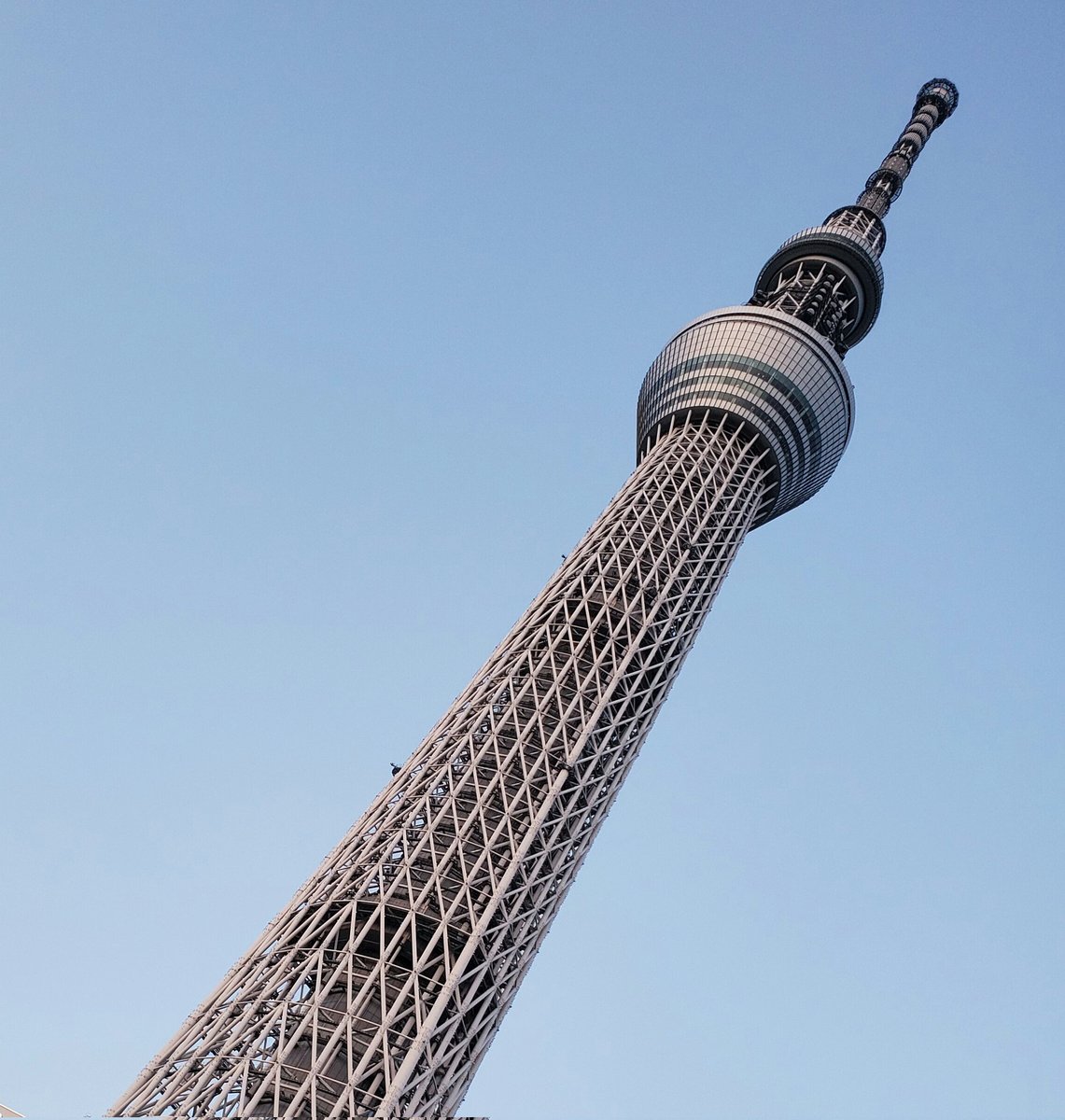 おはようございまスカイツリー！

昨日から急に寒くなり、更に、今日は2ヶ月先の寒さとなるらしいです！

秋を通り越して、いきなり冬？

寒いのは嫌いですが、苦手ではないので頑張ります！

さて、アレもそろそろかなぁ…。

それでは、皆様、良い一日を！