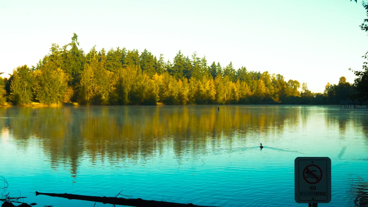 ExtraAced's tweet image. Day 2 of posting a photo :) i’ve been experimenting with coloegrading
#photography #scenery #art #colorgrading #photos
