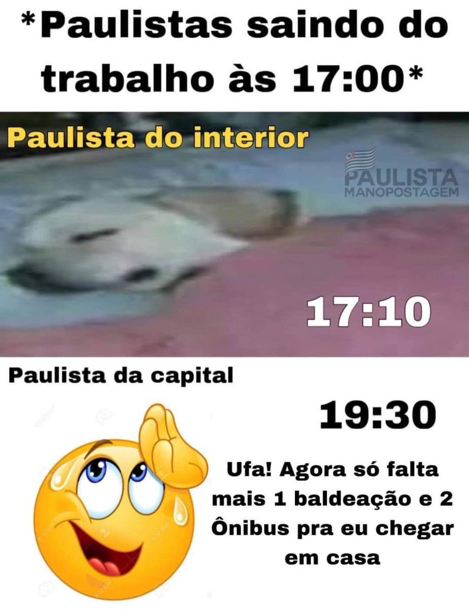 shitpostverdade's tweet image. 